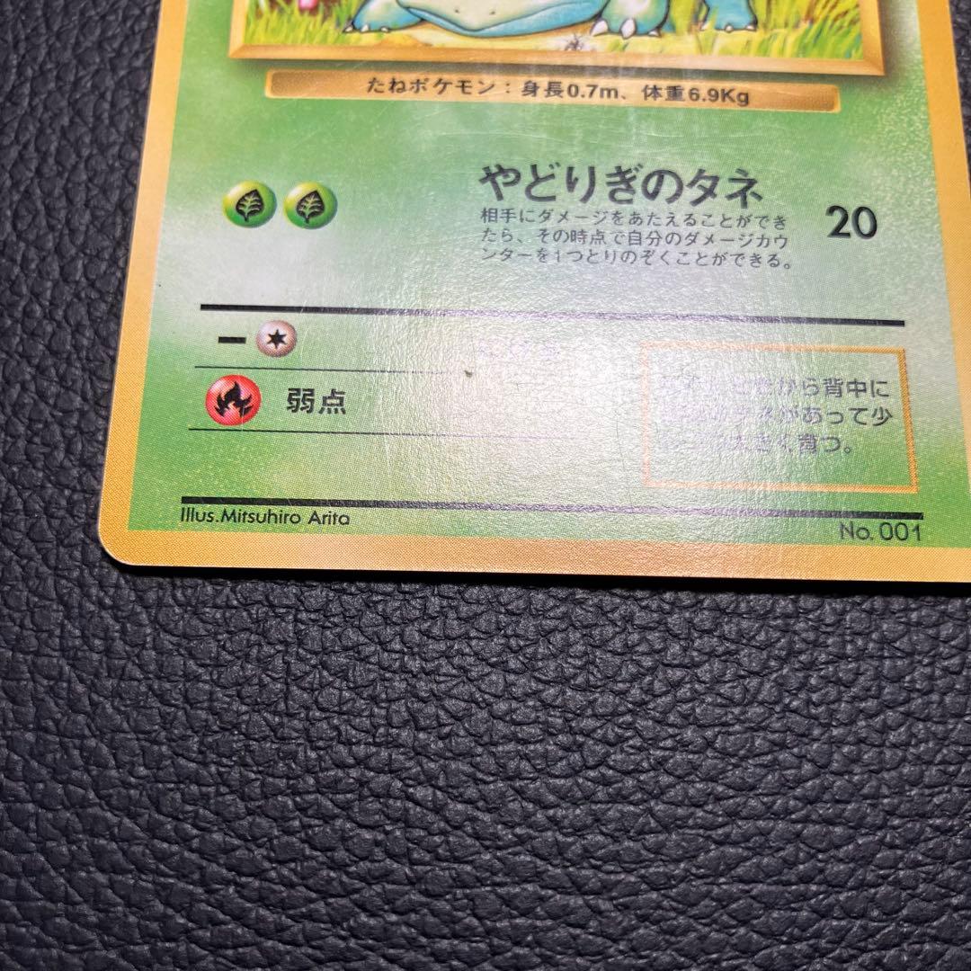 フシギダネ　旧裏　初版　マークなし　ポケモンカード