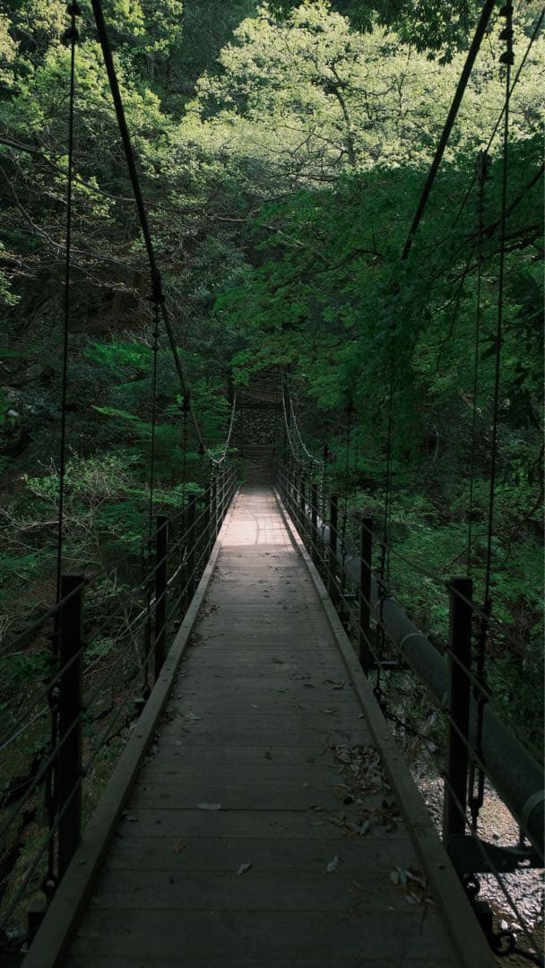 《ナノ様》Fujifilm X-T4 レンズ/32GのSDカード 付き