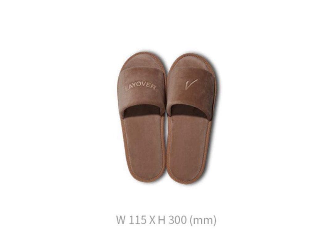 BTS MERCH BOX 17 マーチボックス V Layover テヒョン