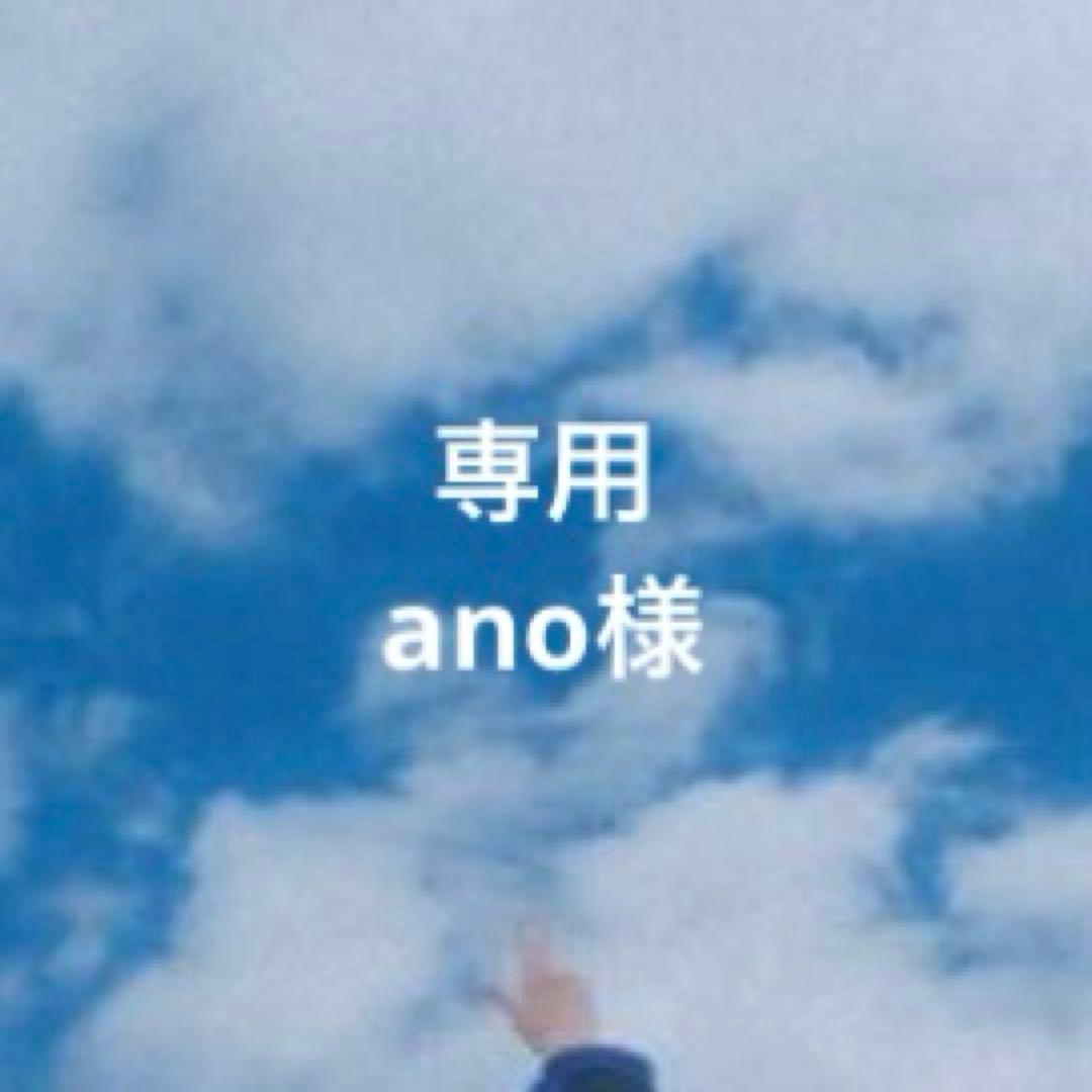 ②専用ページ ano様