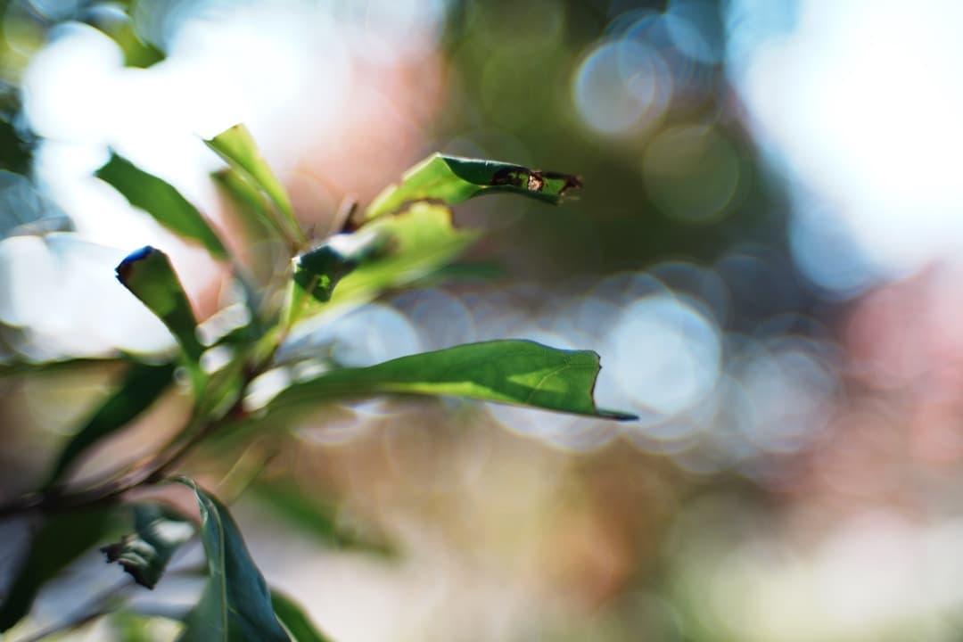 【美品】動作◎ ニコン　Ai Nikkor 35mm F1.4 559