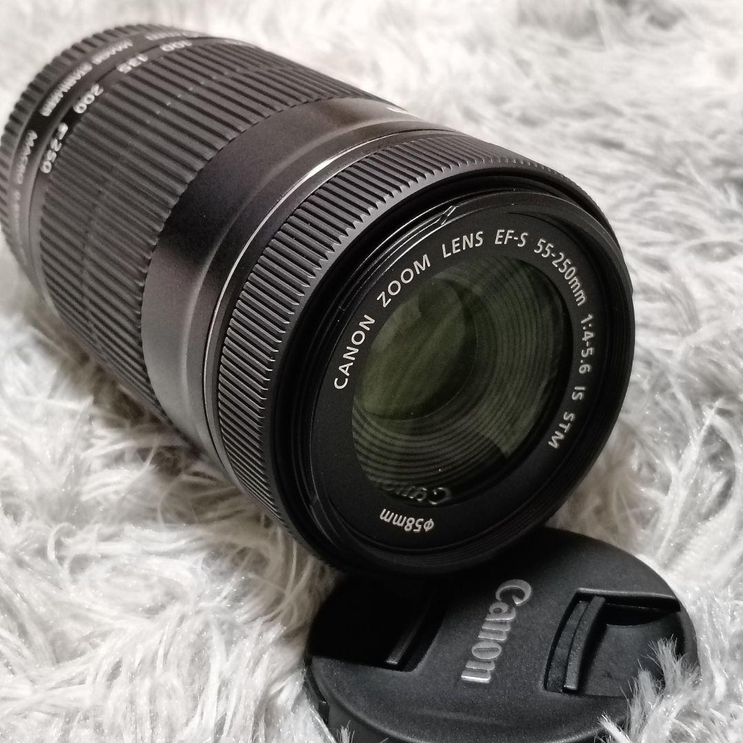 Canon EF-S55-250mm F4-5.6 IS STM 望遠レンズ