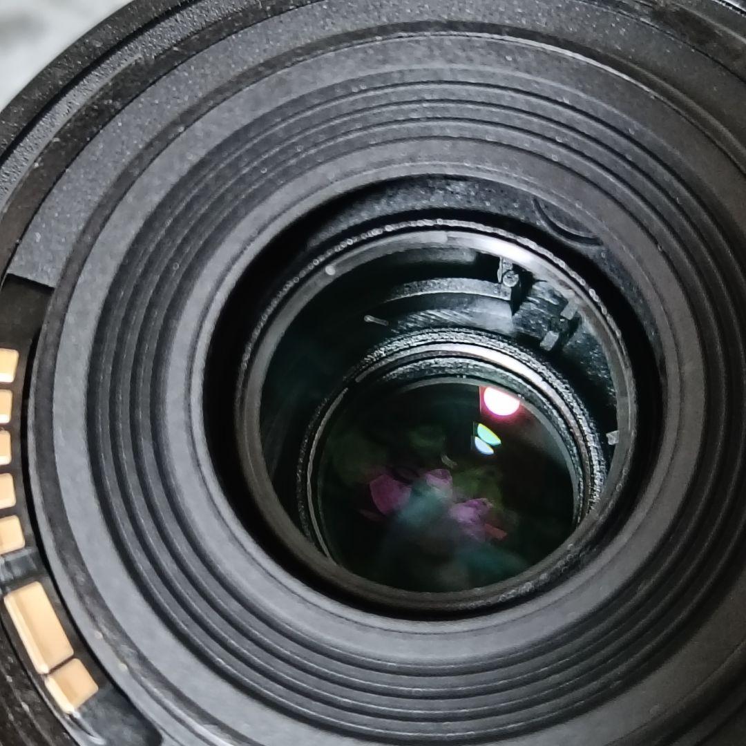 Canon EF-S55-250mm F4-5.6 IS STM 望遠レンズ
