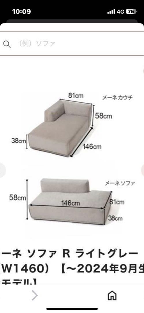 ⭐︎美品⭐︎Francfrancメーネソファ R ライトグレー