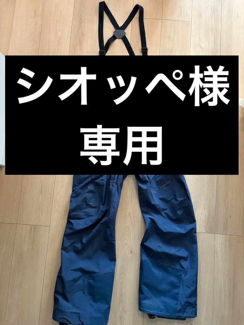 Patagonia ビブ　メンズs