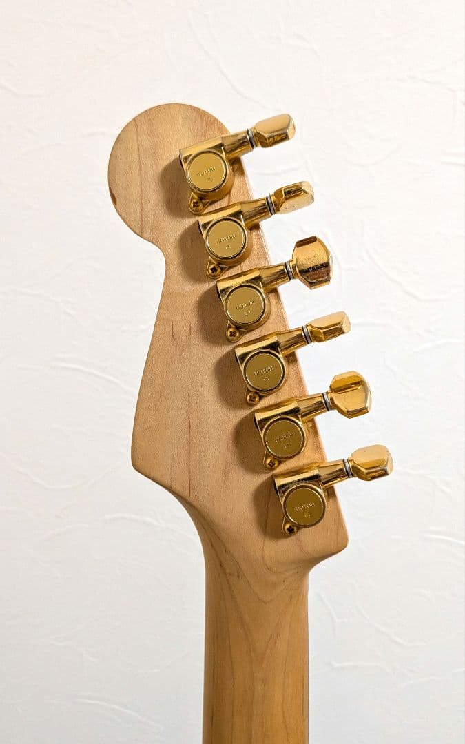 FERNANDES FST-55　SSH