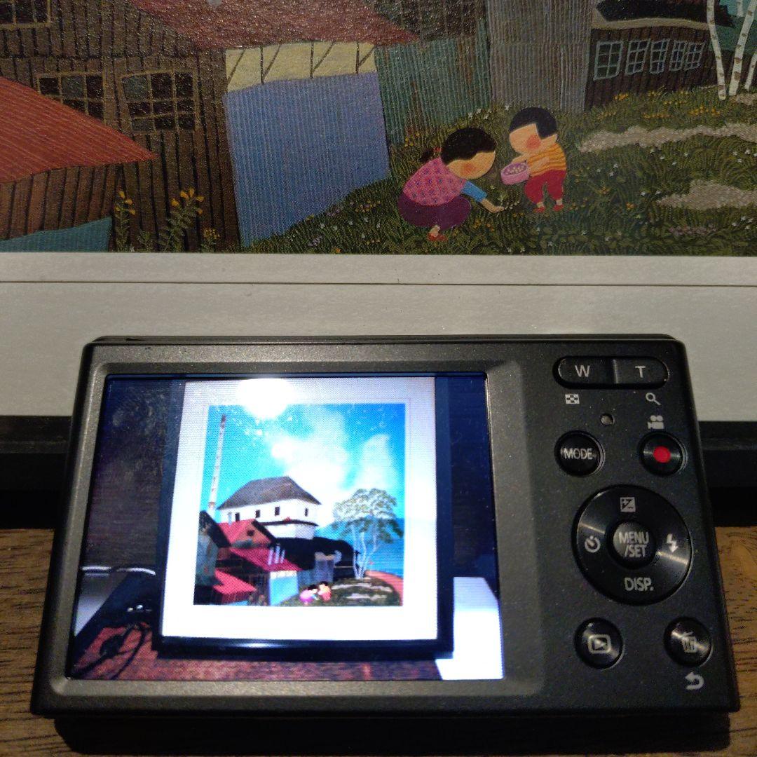 Panasonic LUMIX DMC-FH10 ブラック本体と付属品&箱付