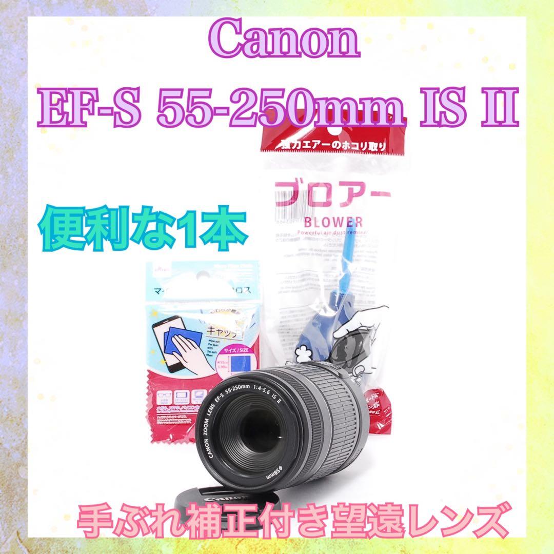 桜や野鳥撮影等にも❤️Canon EF-S 55-250mm IS❤️手ぶれ補正付き