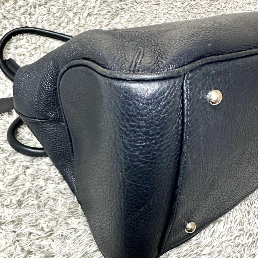 PELLE MORBIDA　トートバッグ　メイデンボヤージュ　シュリンクレザー