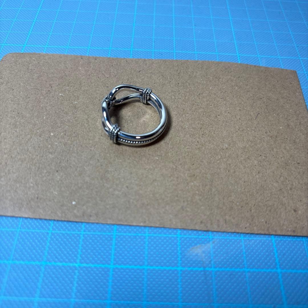 スティーブアルビソ　ホースウィスパラーリング　20号