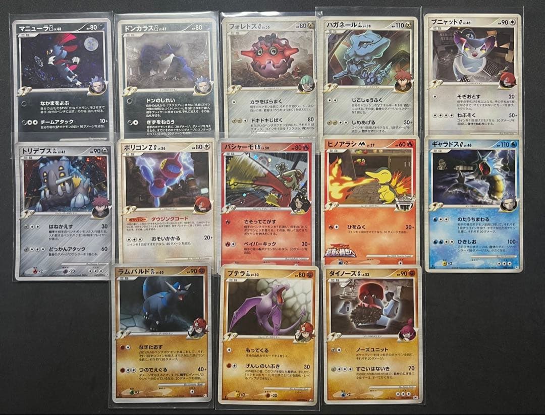 ポケモンカードセット（多様なタイプ） SPコレクション