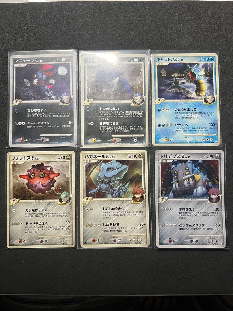 ポケモンカードセット（多様なタイプ） SPコレクション