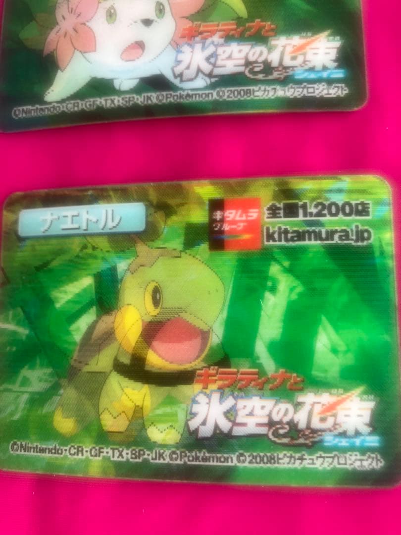 ポケモン 3Dモーションカード 2008年 氷空の花束 9枚セット　新品未開封