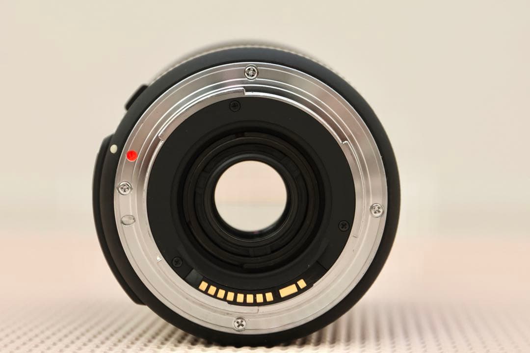 [一眼レフ] CanonEOS8000D+sigma18-300mmセット