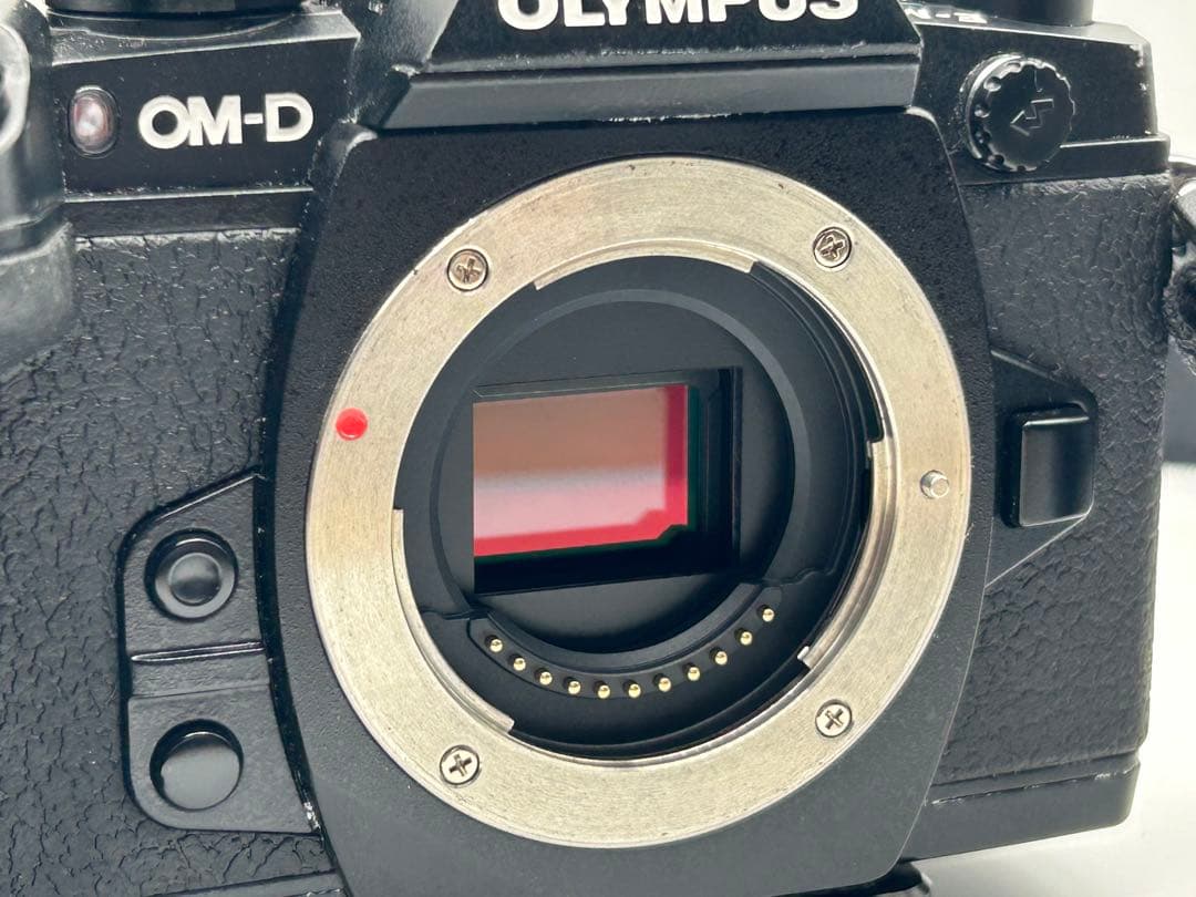 OLYMPUS OM-D E-M1 オリンパス カメラ 箱&付属品 リュック付き