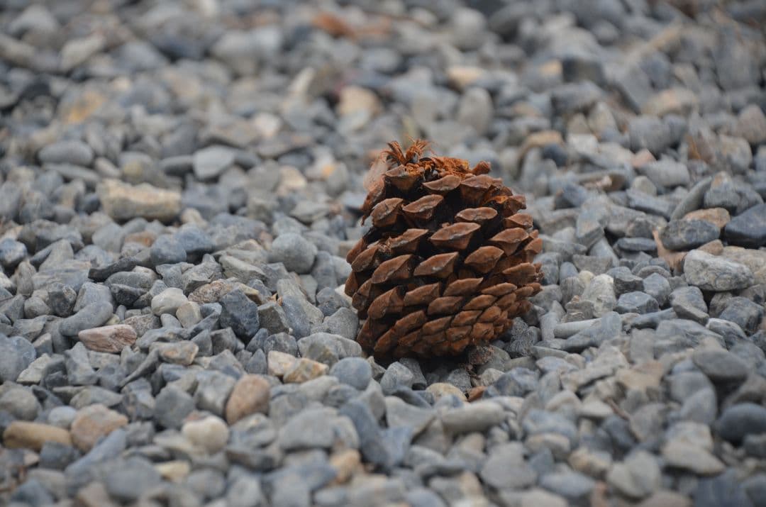 ❤即購入1000円OFF❤ ニコン AF-S 18-300mm VR レンズ