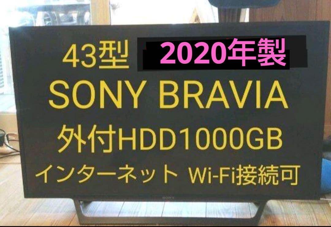 毎日が夏休み Sony Bravia 43型 2020年製 録画セット
