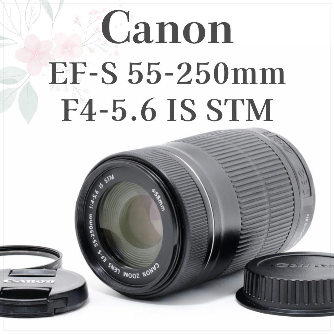 高性能 望遠✨Canon EF-S 55-250mm IS STM✨手ブレ補正