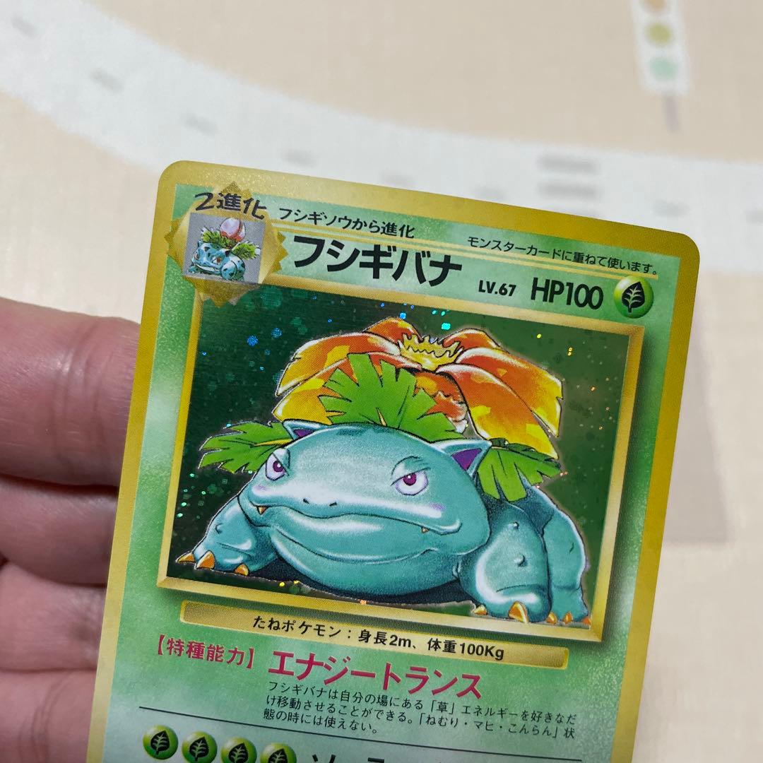 フシギバナ　旧裏　マーク無し