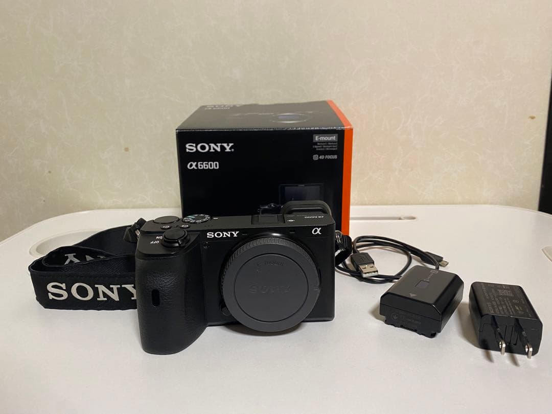 ビデオカメラ Sony a6600