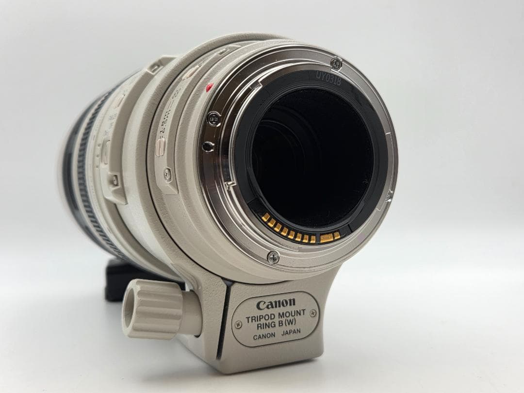 レンズ(ズーム) Canon EF 100-400mm F4.5-5.6 L IS USM