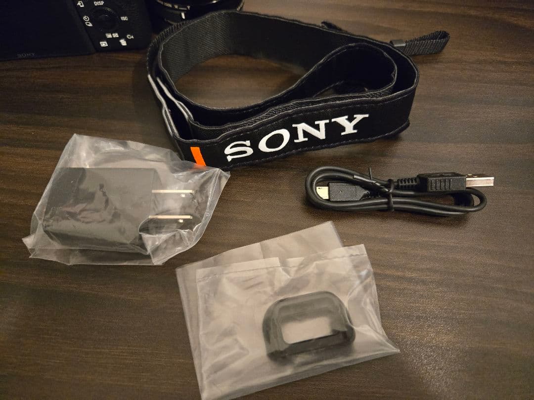 α6600 ILCE-6600 レンズ付き