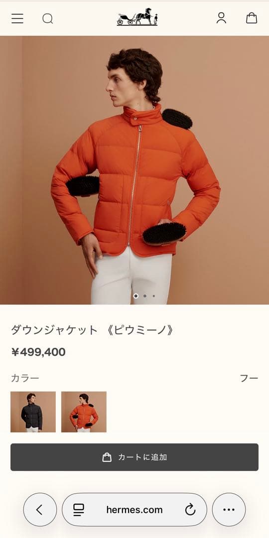エルメス　ピウミーノ　定価50万円　国内正規品　セリエダウンジャケット