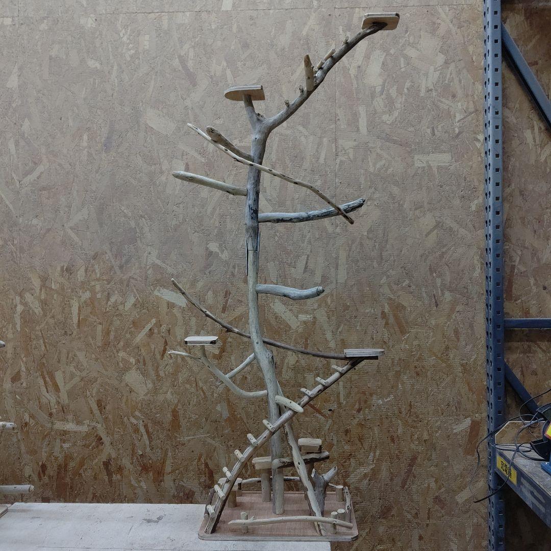 しょうた枠バードアスレチックジム大型(62) 鳥インコ止まり木、流木、