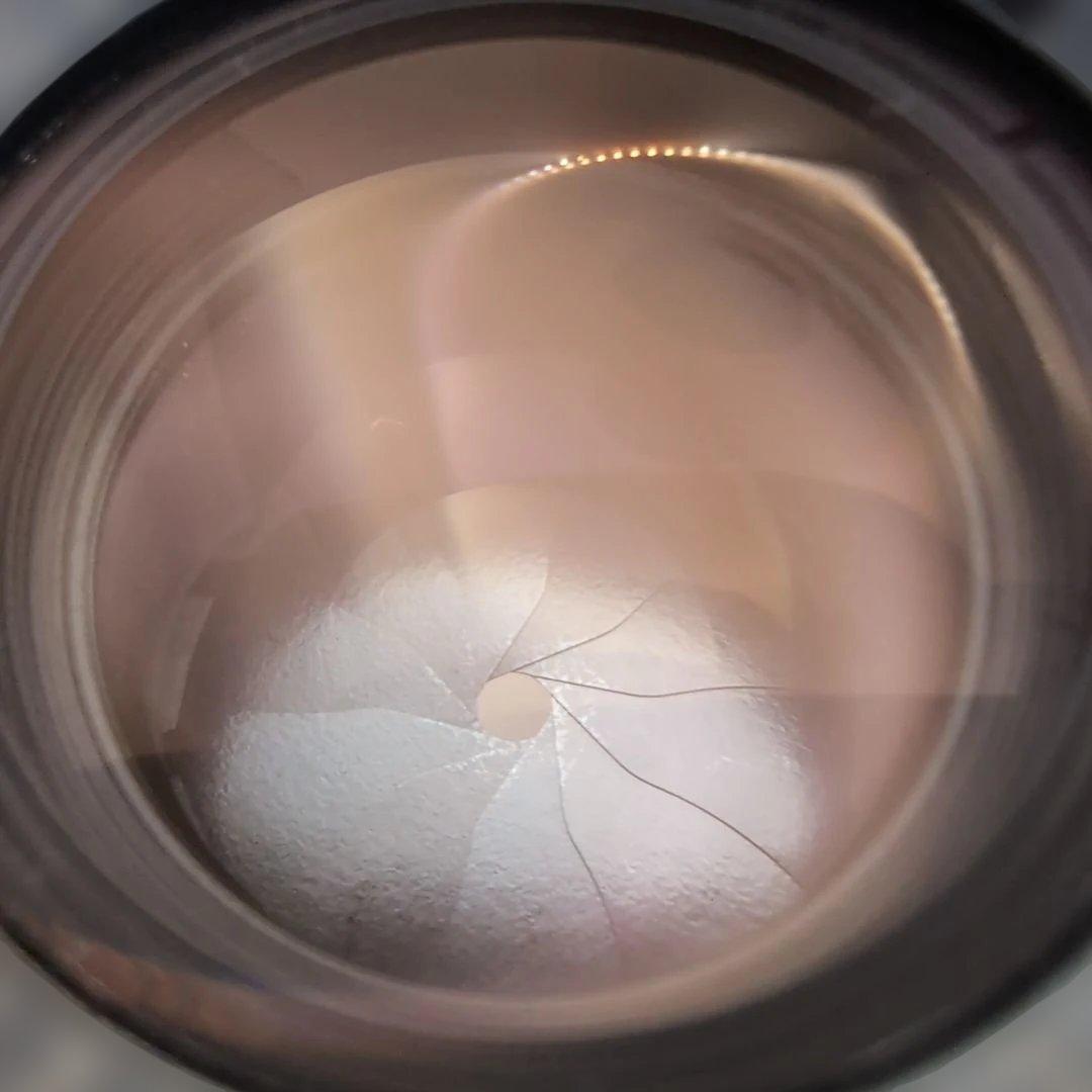 Leica Summicron 50mm f2 レンズ 2182053