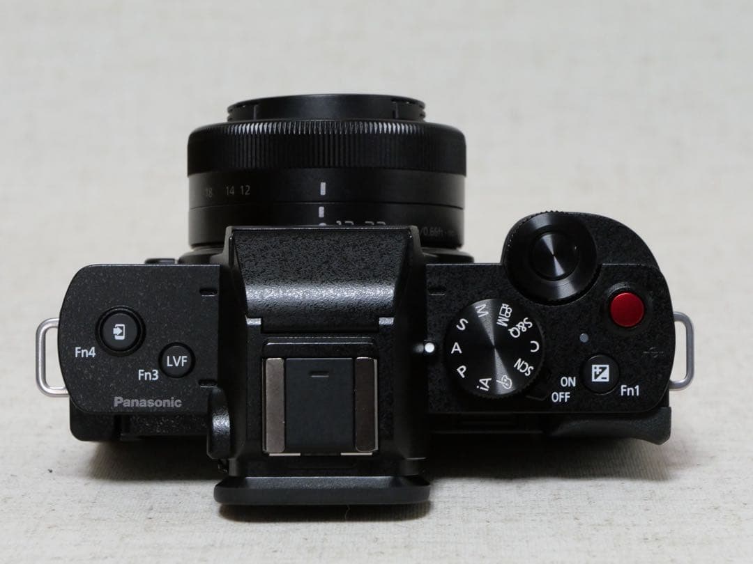 LUMIX パナソニック DC-G100 標準ズームレンズ・予備バッテリー付き