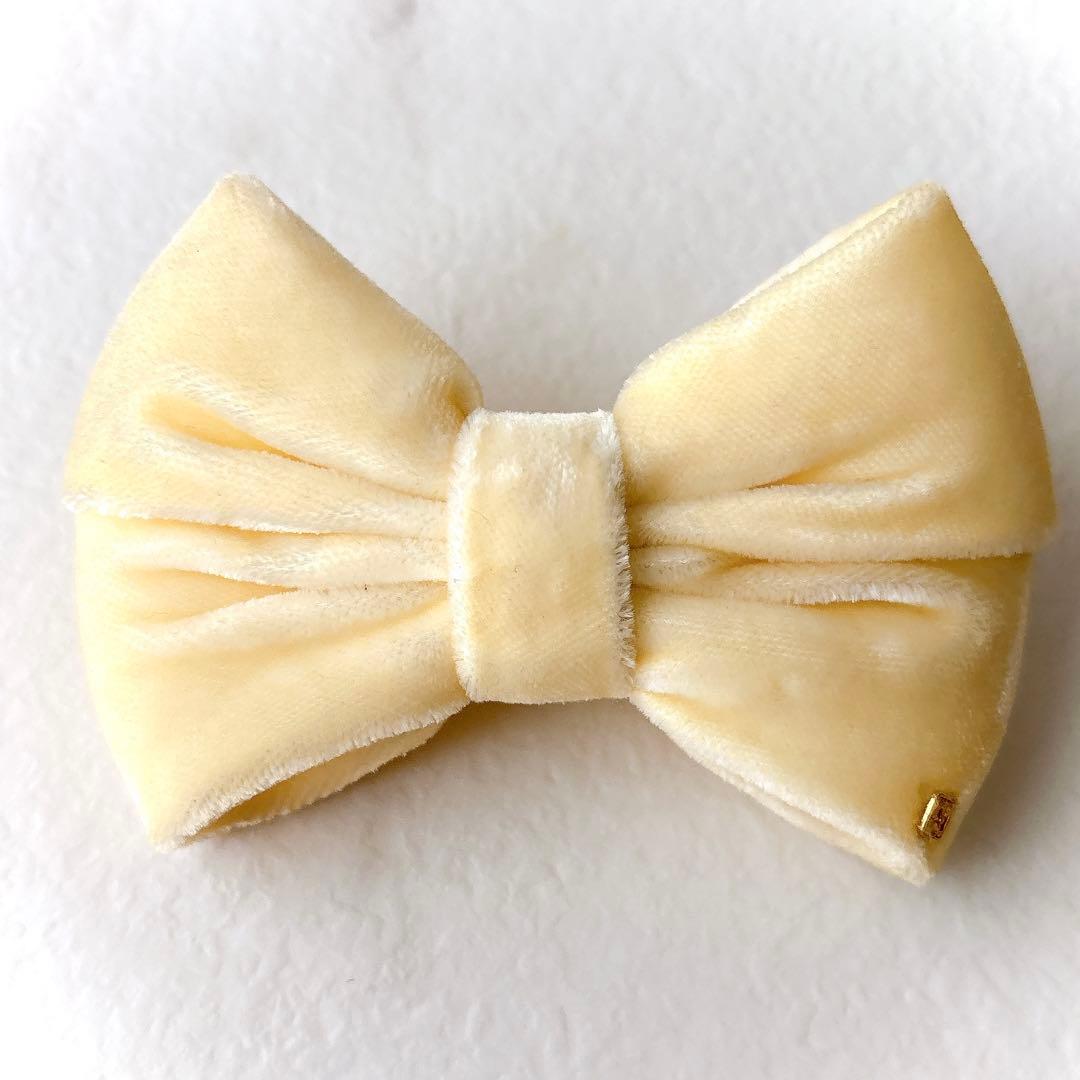 美品 アレクサンドルドゥパリ ベロア リボンバレッタ IVO 秋冬アクセサリー